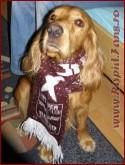 sa vezi ce dau din :rotfl:  :rotfl:  :rotfl:  :rotfl: 
bine q mici exceptii :wink2:  :wink2: